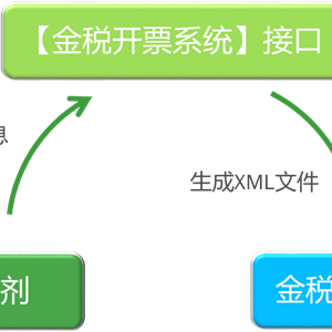 金税接口解决方案